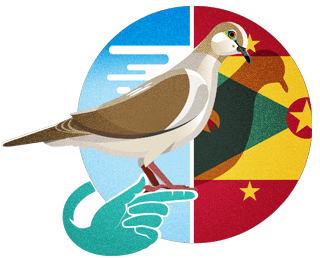 grenada-bird-1